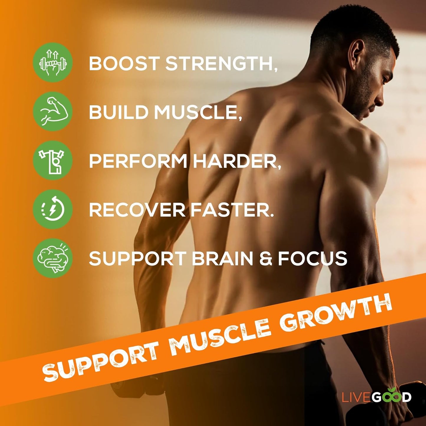 LIVEGOOD Creatine + HMB Powder, Unflavored Organic Creatine Monohydrate for Strength, Recovery, Brain Function & Muscle Growth, HMB Supplement, Built on Clean Ingredients – 30 Servings